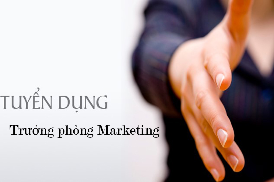 Tuyển dụng vị trí trưởng phòng marketing